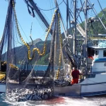 Bill would help seafood industry ‘left out’ of major US grant programs