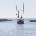 Court strikes down Mississippi oyster leasing law