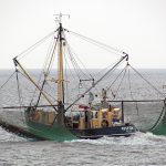 NOAA rescinds regulation prohibiting commercial fishing in Atlantic monument area
